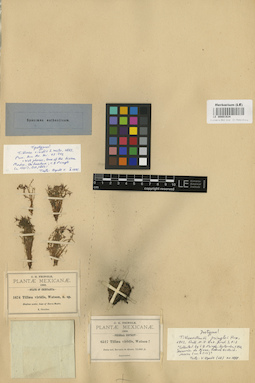LE 00001934