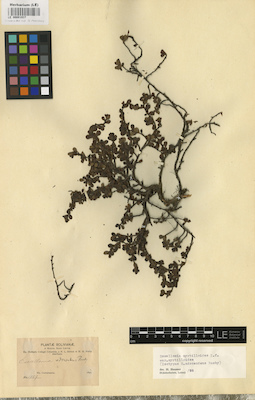 LE 00001937