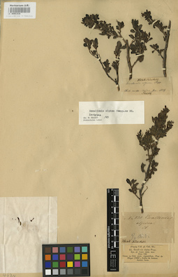 LE 00001938