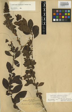 LE 00001942