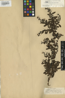 LE 00001952