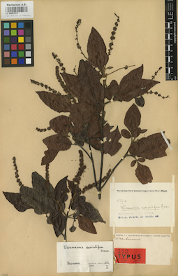 LE 00001973