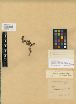 LE 00001983