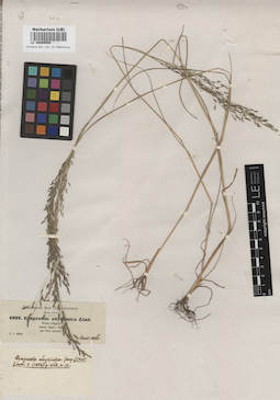 LE 00009508
