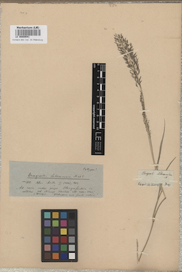 LE 00009541