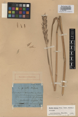 LE 00010086