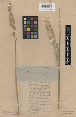 LE 00010093