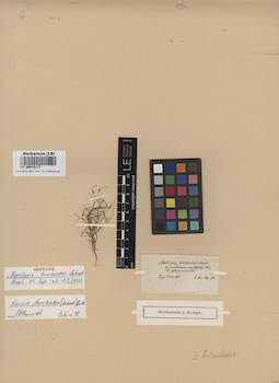 LE 00010117