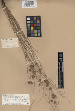 LE 00010119