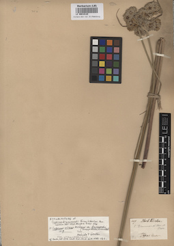 LE 00010120