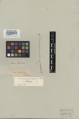 LE 00010134