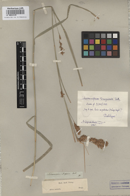 LE 00010145