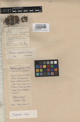 LE 00010149