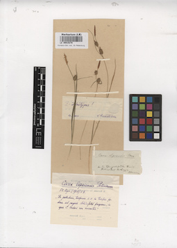 LE 00010278