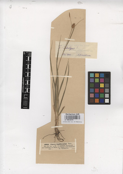 LE 00010279