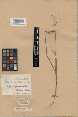 LE 00010295