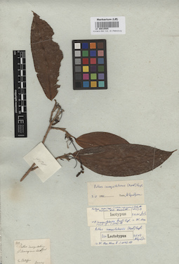 LE 00010585