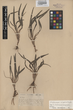 LE 00010608