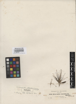 LE 00010611