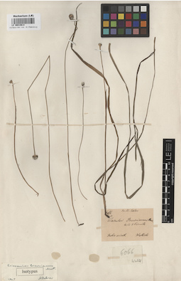 LE 00010614