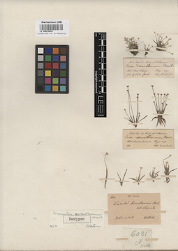 LE 00010642