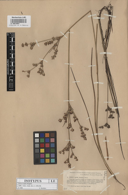 LE 00010652
