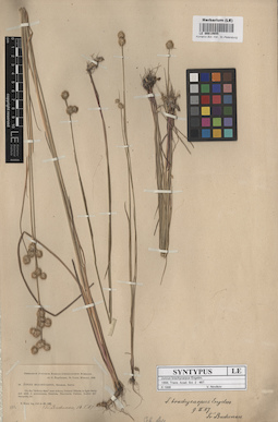 LE 00010655
