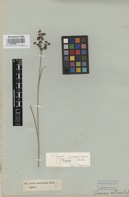 LE 00010661