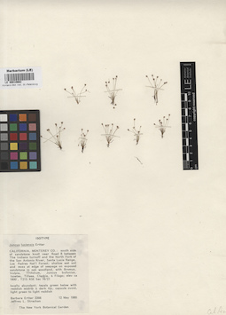 LE 00010662