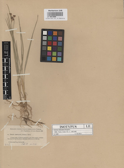 LE 00010666