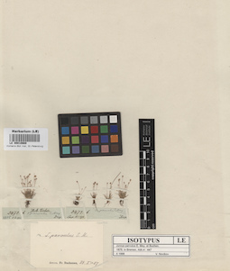 LE 00010669