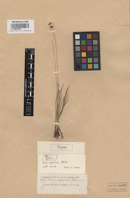 LE 00010670