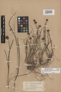LE 00010671