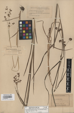 LE 00010672