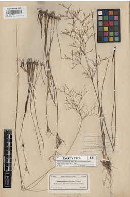 LE 00010673