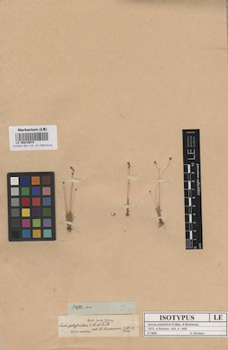 LE 00010674