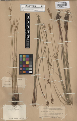 LE 00010687