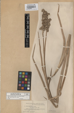 LE 00010688