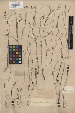 LE 00010694
