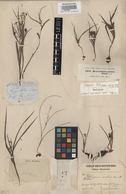 LE 00010695