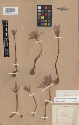 LE 00010728