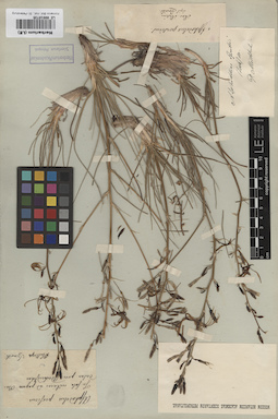 LE 00010735