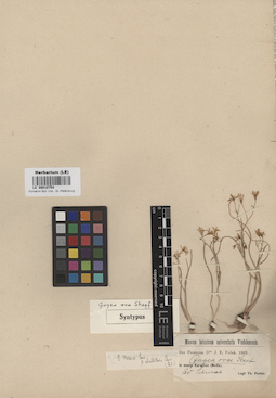 LE 00010754