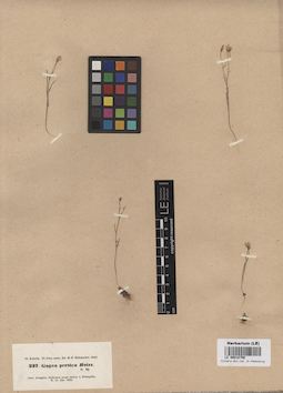 LE 00010756