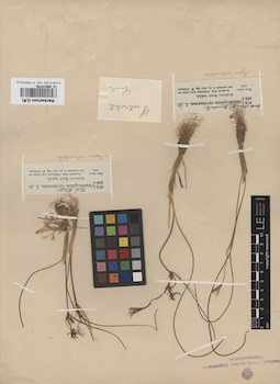 LE 00010759