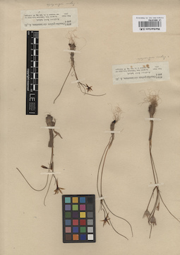 LE 00010762