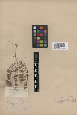 LE 00010764
