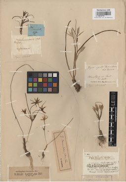 LE 00010770
