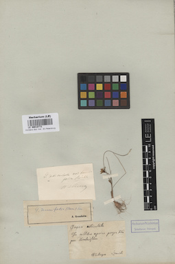 LE 00010773
