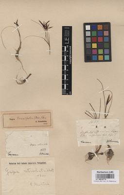LE 00010774